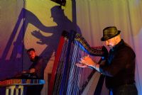 Festival Harpes au Max : la billetterie s'ouvre et le programme se dévoile !. Du 11 avril au 20 mai 2018 à Ancenis. Loire-Atlantique.  20H00